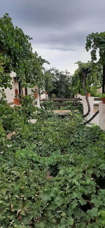 Cabanas Yamasu Huasi Cafayate Exteriör bild