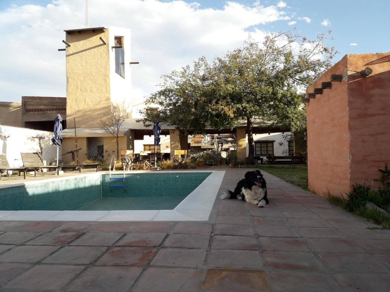 Cabanas Yamasu Huasi Cafayate Exteriör bild